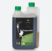 Фитосироп для лошадей «Солодка Active», 1л