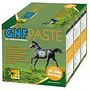 ГНФ паста (GNF Paste) упаковка 28 шприцов по 80г