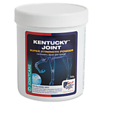 Kentucky Super Strength Powder 700гр